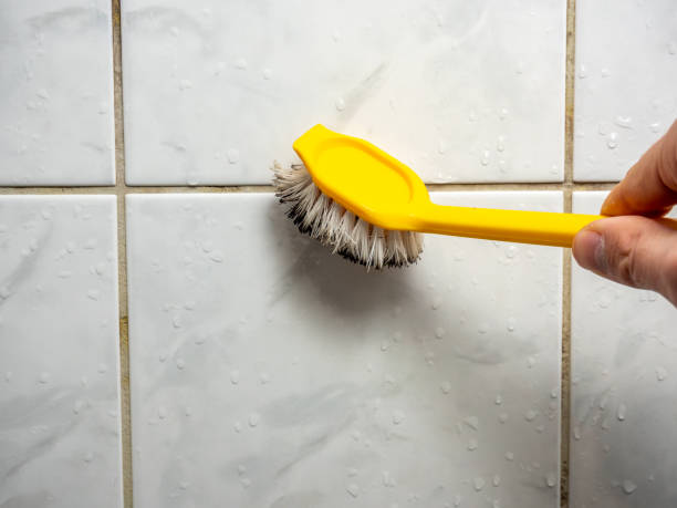 Best Mold Remediation Services  in Giddings, TX