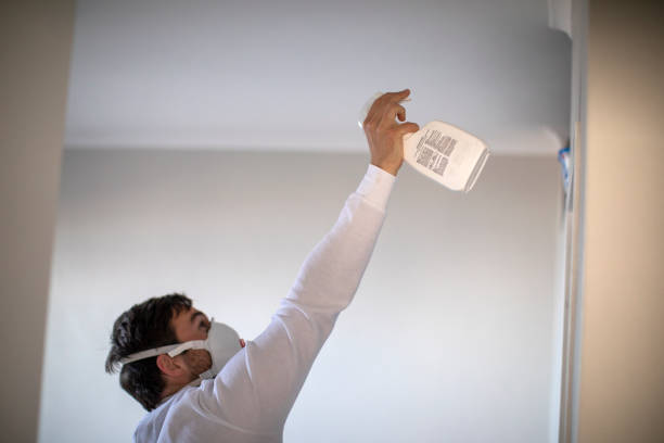 Best Mold Cleaning Services  in Giddings, TX