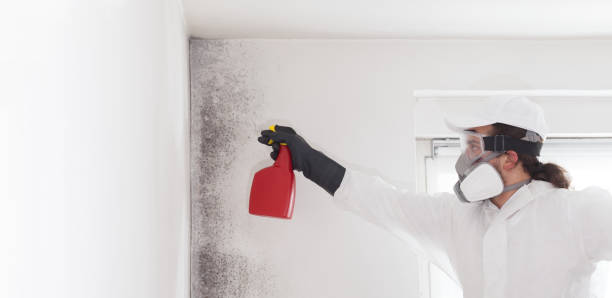 Best Crawl Space Mold Removal  in Giddings, TX