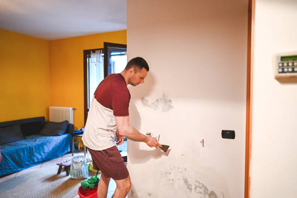 Best Home Mold Removal  in Giddings, TX