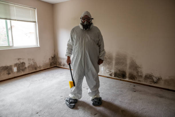 Best Office Mold Removal Services  in Giddings, TX